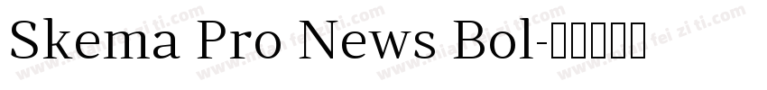 Skema Pro News Bol字体转换